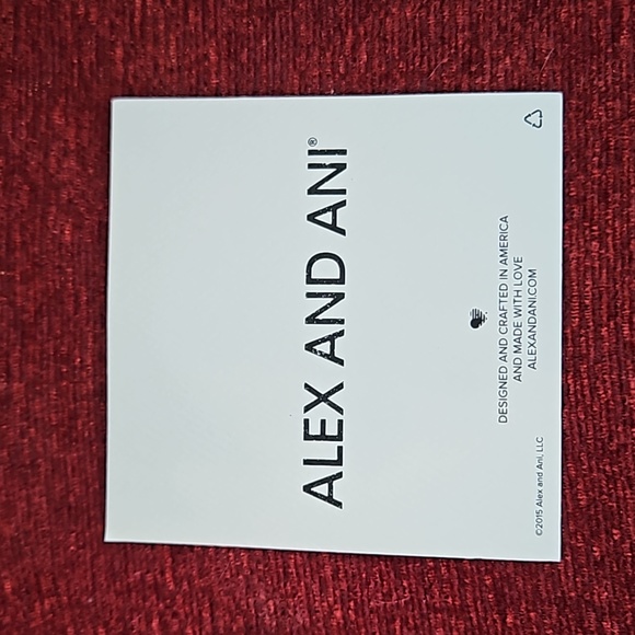 Alex and Ani Best Friends Rafaelian Silver Bangle Bracelet - Picture 4 of 6